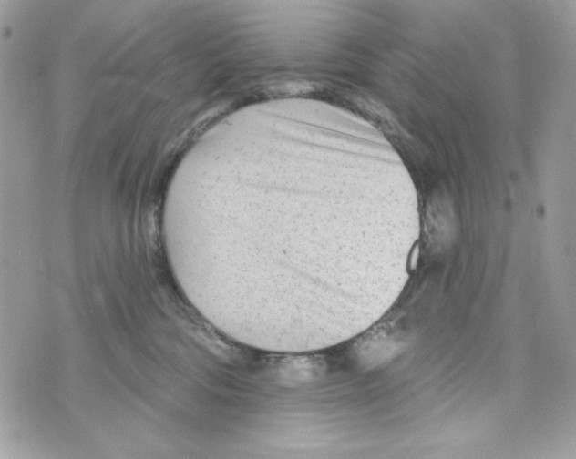 X0000070420330200607072341