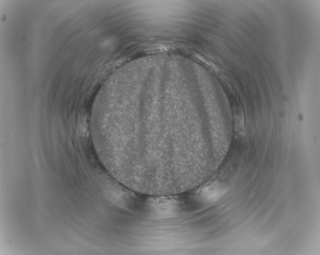 X0000070420331200607072341