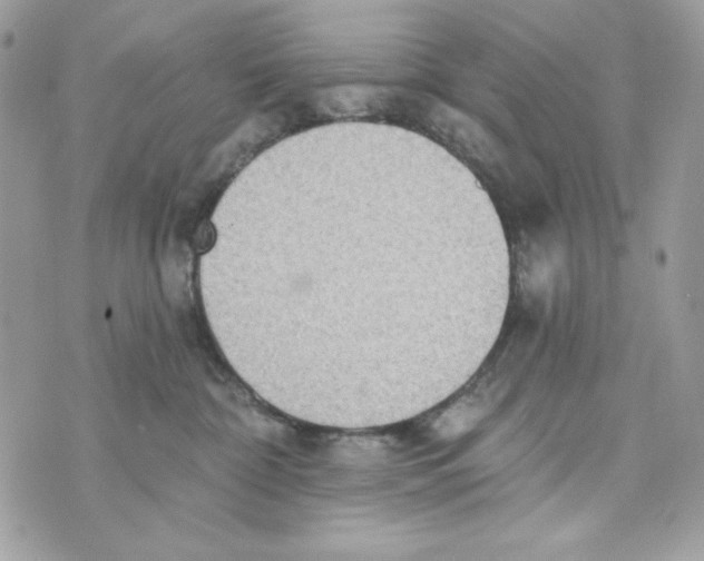 X0000070420332200607072340