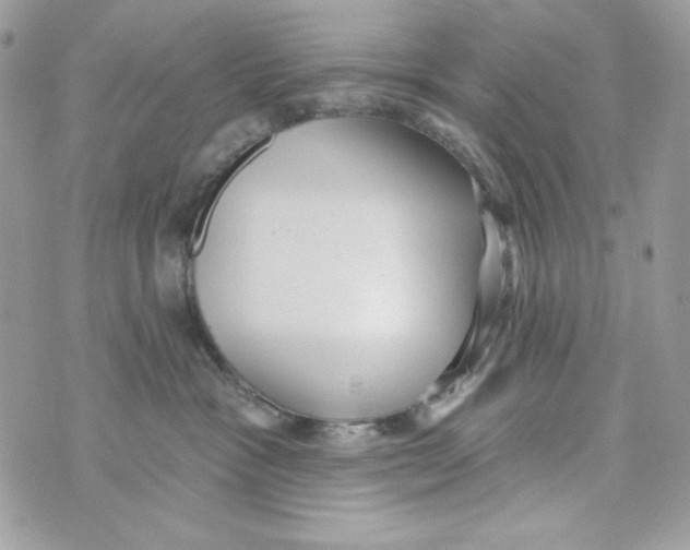 X0000070420333200607072340