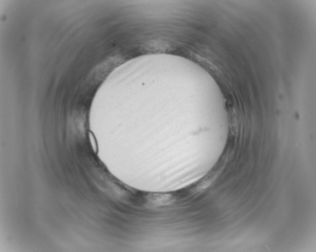 X0000070420334200607072340