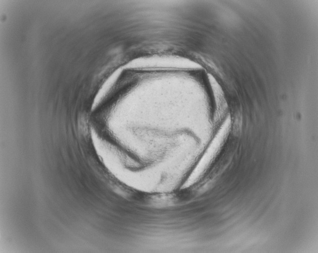 X0000070420335200607072340