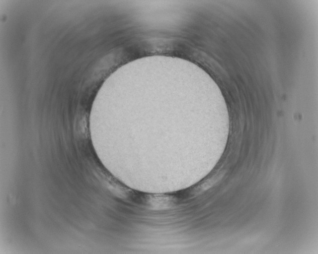 X0000070420336200607072340