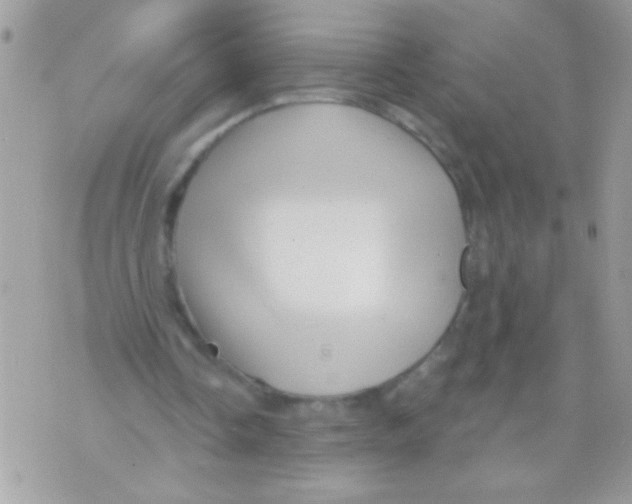 X0000070420338200607072340