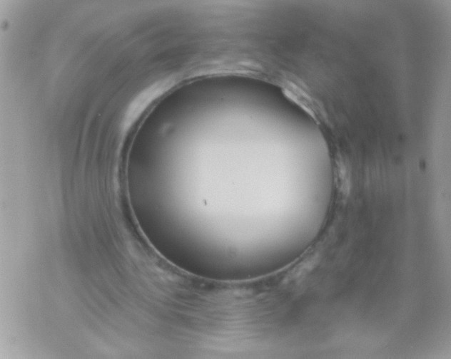 X0000070420340200607072340