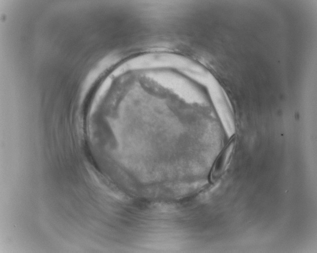 X0000070420343200607072340