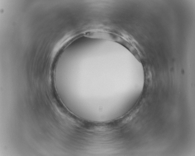 X0000070420344200607072340