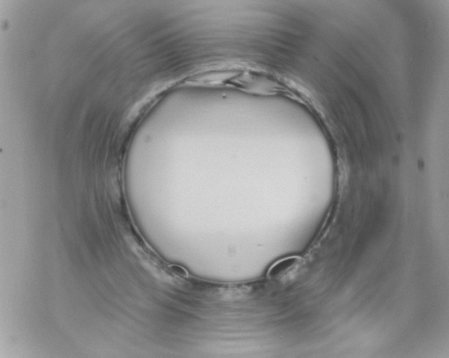 X0000070420345200607072340