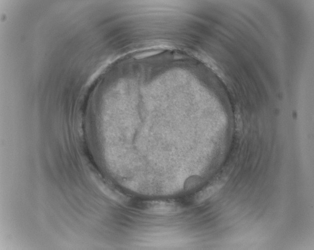 X0000070420347200607072340