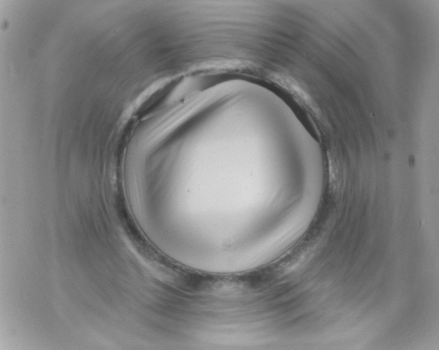 X0000070420348200607072340