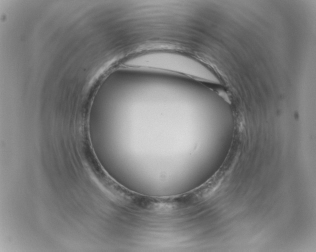 X0000070420352200607072340