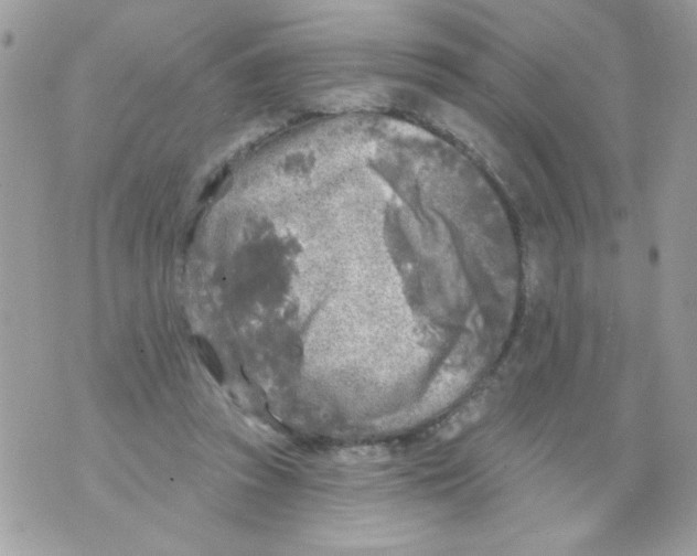 X0000070420353200607072340