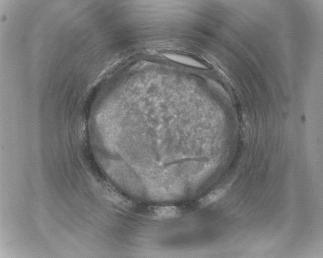 X0000070420355200607072340