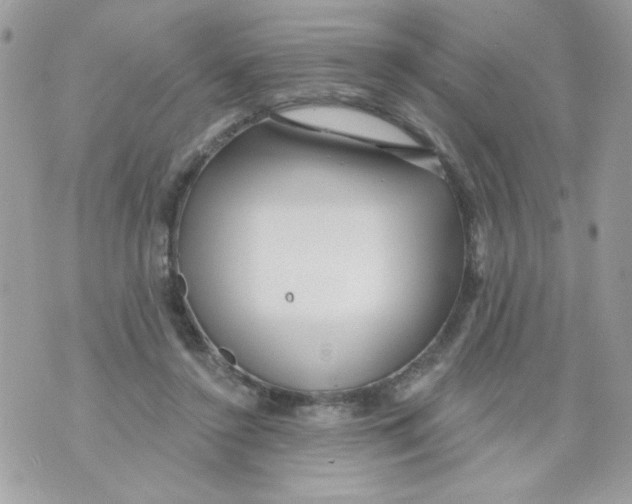 X0000070420356200607072340