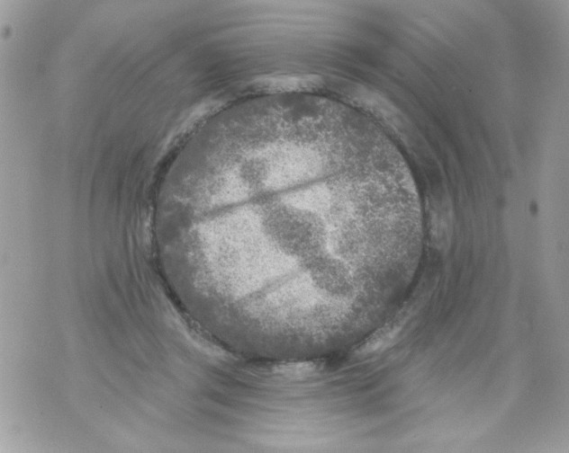 X0000070420357200607072340