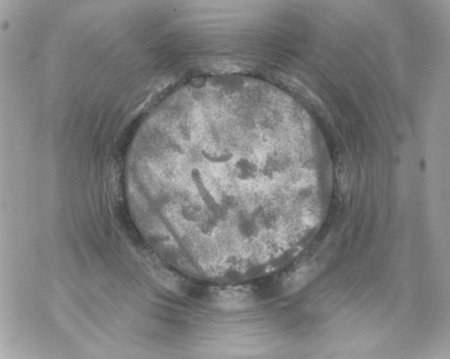 X0000070420359200607072340