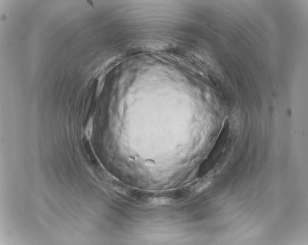 X0000070420360200607072340