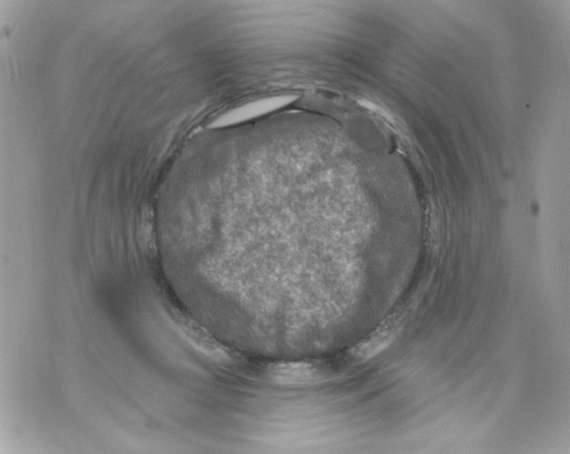 X0000070420361200607072340