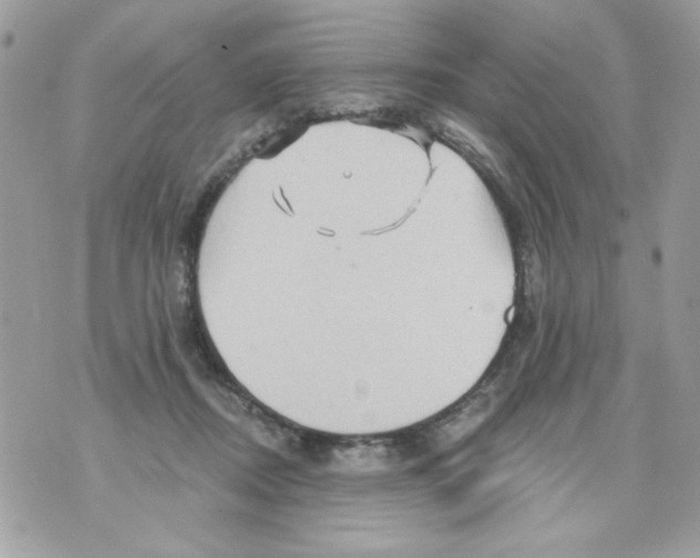 X0000070420362200607072340