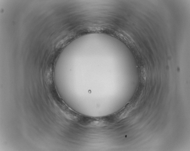 X0000070420364200607072340