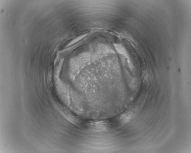 X0000070420365200607072340