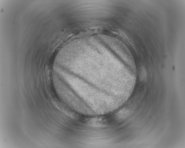 X0000070420366200607072340