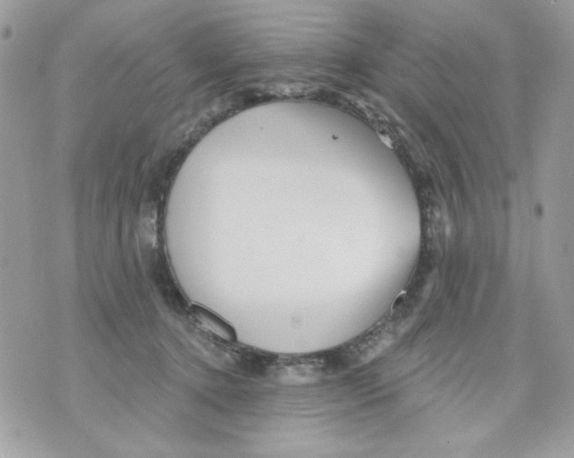 X0000070420368200607072340