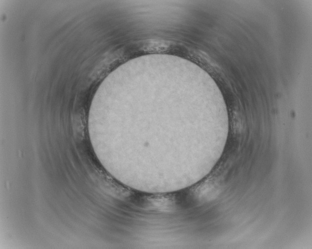 X0000070420370200607072340