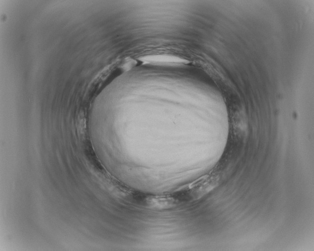 X0000070420372200607072340