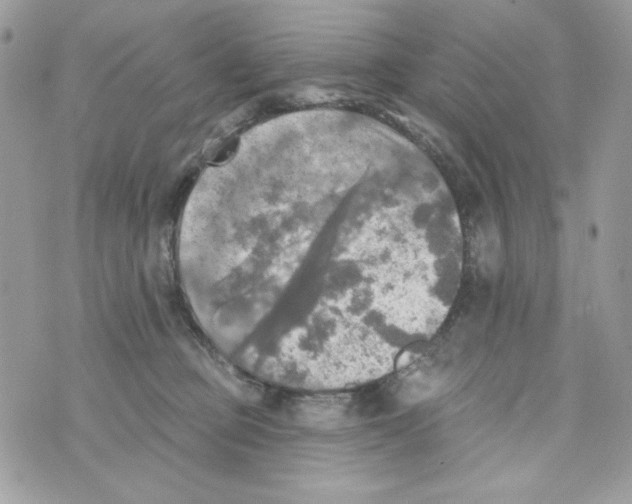 X0000070420373200607072340