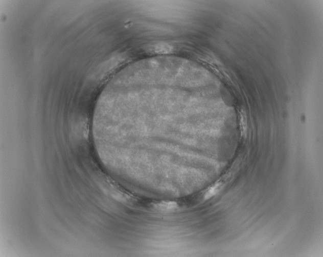 X0000070420374200607072340