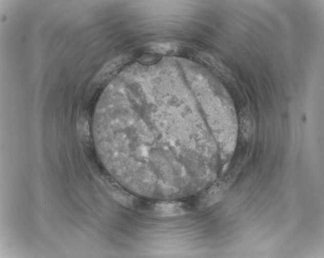 X0000070420375200607072340