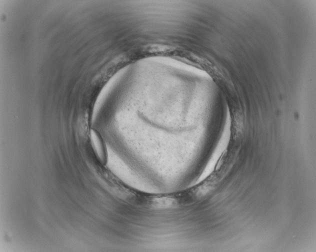 X0000070420376200607072340