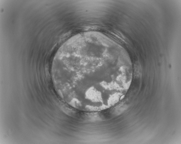 X0000070420377200607072340