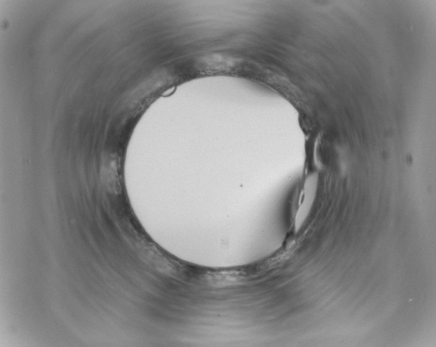 X0000070420378200607072340