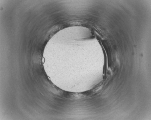 X0000070420379200607072340