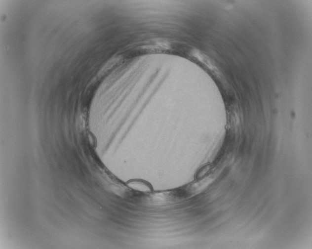 X0000070420382200607072340