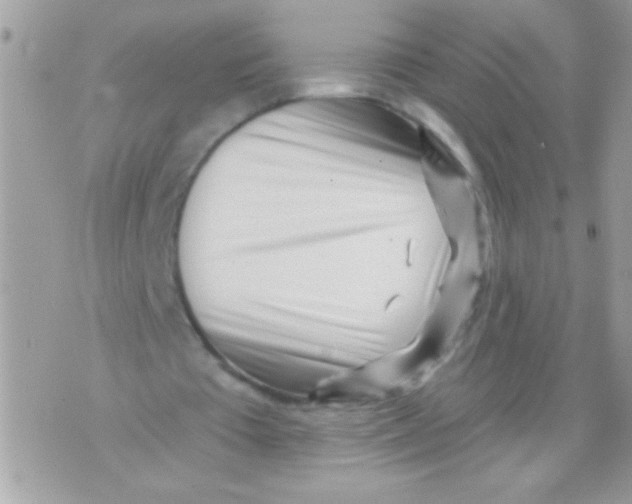 X0000070420385200607072340