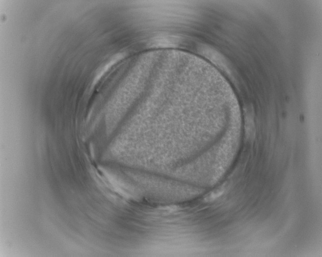 X0000070420386200607072340