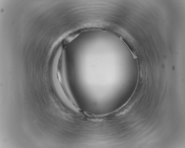 X0000070420388200607072340