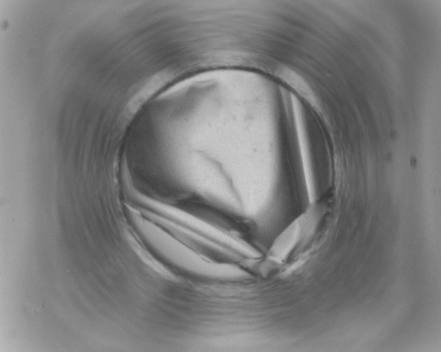 X0000070420389200607072340