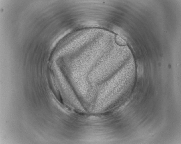 X0000070420390200607072340