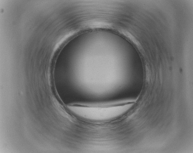 X0000070420391200607072340