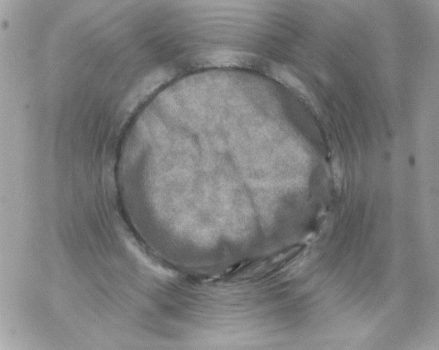 X0000070420394200607072339