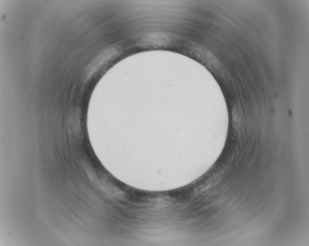 X0000070420396200607072339