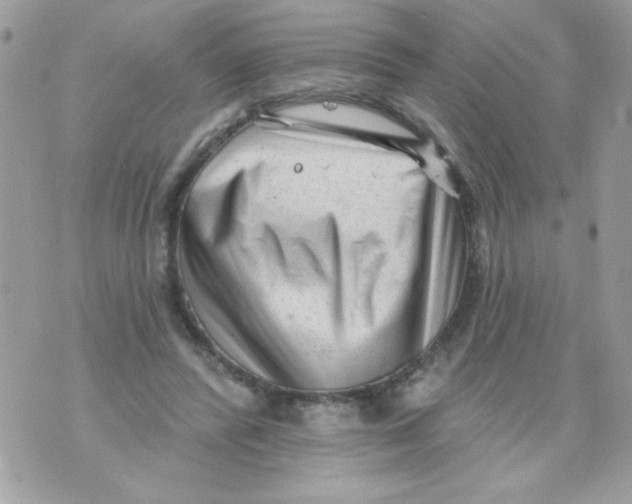 X0000070420400200607072339