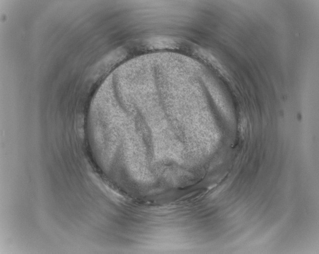 X0000070420402200607072339