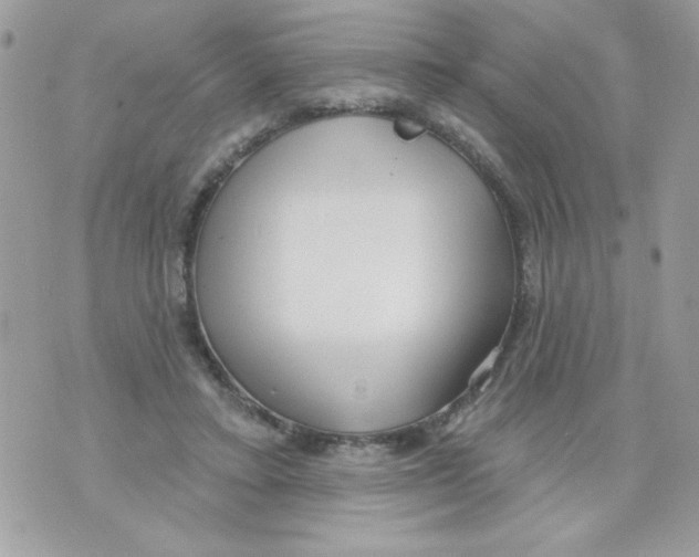 X0000070420403200607072339