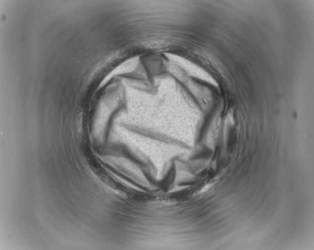 X0000070420404200607072339