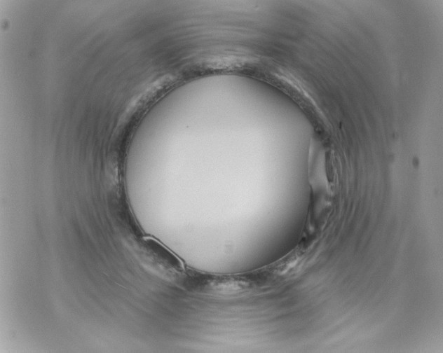 X0000070420407200607072339